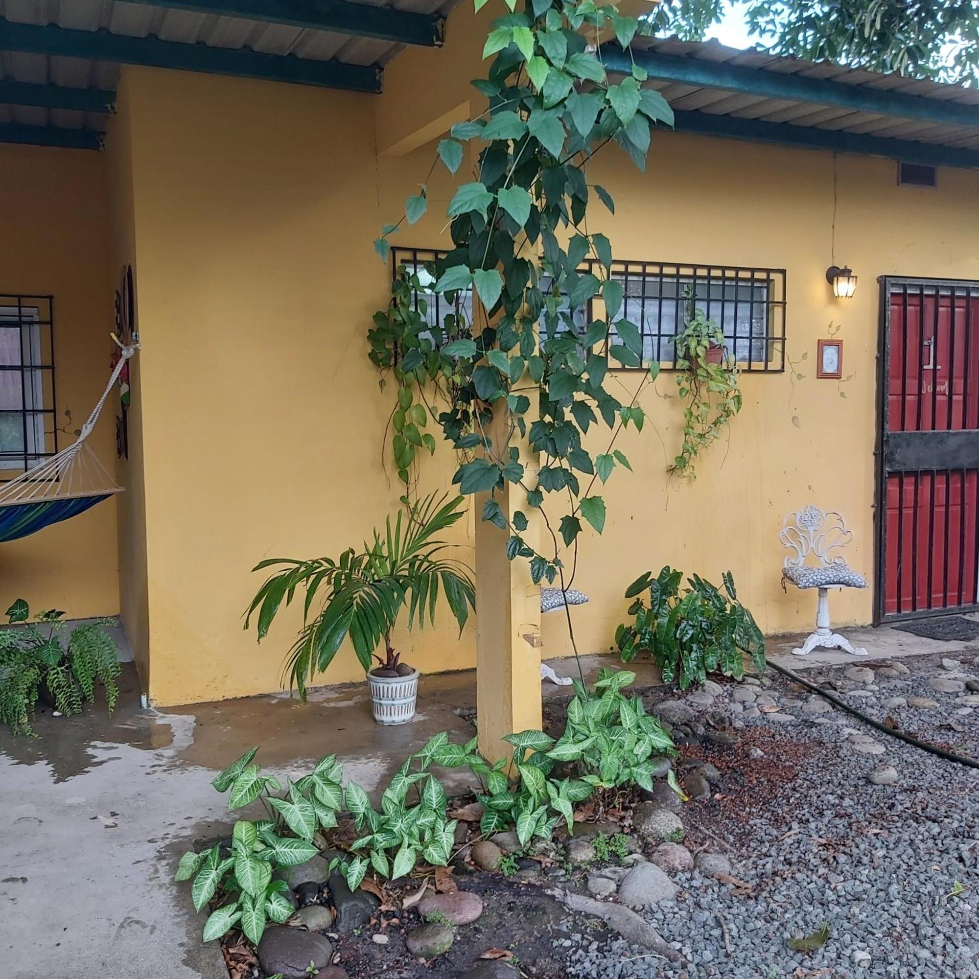 Bed and Breakfast Sweet Dreams San Carlos Exterior foto